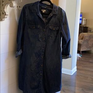 Denim cotton dress
